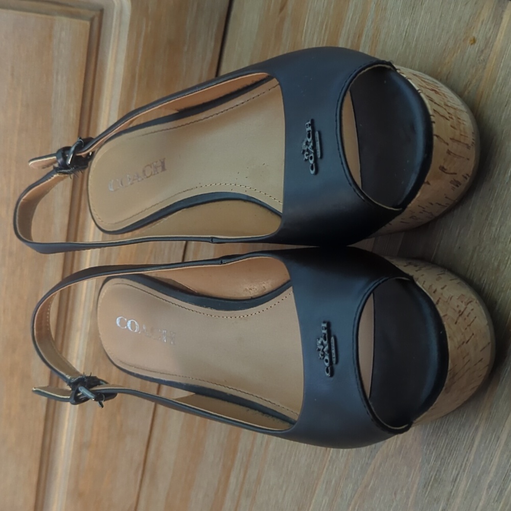 Coach Ferris Semi Matte Calf Black